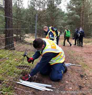 ASP-Schutzzaun wird bei Schwedt teilweise versetzt | top agrar online - top agrar online