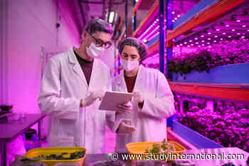 Università Cattolica del Sacro Cuore: Dynamic Agribusiness degrees in the world's food capitals - Study International News