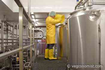 New UK Business 'Plant Food Bases' to Make Milk Alternatives With Low Food Miles - vegconomist: the vegan business magazine - vegconomist - the vegan business magazine