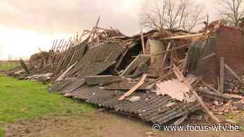 Stal met drachtige merrie stort in in Izegem - Focus en WTV