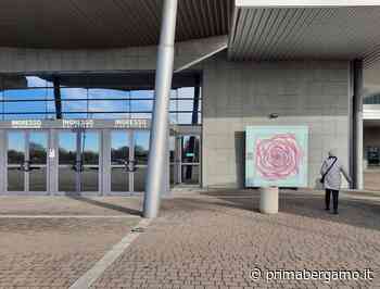 "Il labirinto della Rosa": in Fiera un'opera d'arte contro la violenza sulle donne - Prima Bergamo