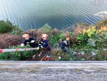 Albenga, opera di pulizia radicale dei canneti sul Lungocenta ad opera della protezione civile - IVG.it