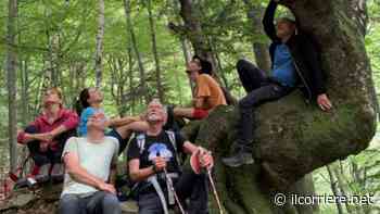 Al cinema “A riveder le stelle”: Grande attesa per l'opera del regista albese Emanuele Caruso - https://ilcorriere.net/
