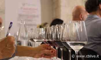 Diventare sommelier: al via il corso a Campobasso e Termoli - CBlive - La città di Campobasso in diretta