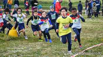 Corsa campestre all'Ultravolo, buoni risultati per la Runners Termoli - Primonumero