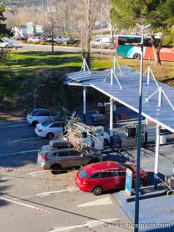 Fortes rafales de vent: un arbre tombe sur une station-service à Nice, plusieurs voitures endommagées