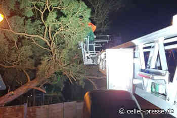 Orkan Zeynep über Celle – zahlreiche Einsätze im Stadtgebiet! - Celler Presse