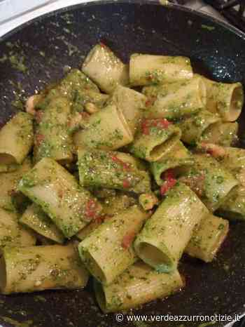 Paccheri rigati di Gragnano con pesto di rucola,pomodorini, noci e gamberetti - Verde Azzurro Notizie