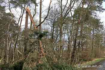 Tornado-Verdacht in der Hohen Ward