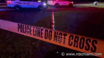 Man Kills 2 People, 2 Dogs, Himself at Florida Home: Police