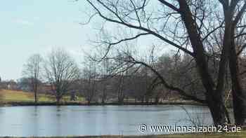 Ausbaggern und Schlamm untersuchen - Schönberg will Hanginger Weiher retten