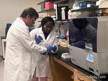 Rwandan Genocide Chemically Modified the DNA of Victims and Victims’ Offspring