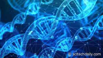 Increased Infectivity Drives COVID Evolution – Mutations That Allow the Virus To Escape Vaccines Become Dominant