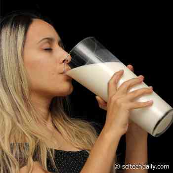 Don’t Drink Milk? Here’s How To Get Enough Calcium and Other Nutrients You Need