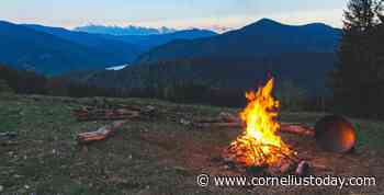 2022 BrightFire Music & Arts Festival tickets on sale now - corneliustoday.com