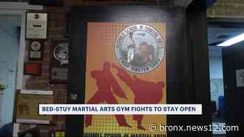 Bed-Stuy martial arts gym fights to stay open - News 12 Bronx