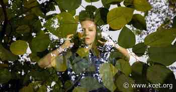 KCET Wins 8 National Arts and Entertainment Journalism Awards - KCET