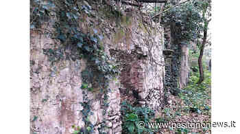 Il Fondo Cesina diventa patrimonio del Comune di Capri - Positanonews - Positanonews