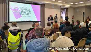 Frontignan : le cœur de ville du point de vue des habitants - Hérault-Tribune