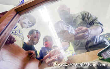 Wilcox School gets buggy, again - Thegardenisland.com