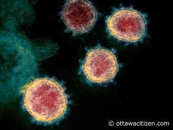 COVID-19: Four new deaths in Ottawa, 98 new cases