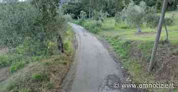 Mirto: limitazione per i mezzi pesanti lungo la spa Mirto - Fornace - S. Tommaso - AMnotizie.it - Quotidiano di informazione - AMnotizie.it