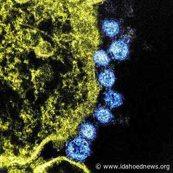 Coronavirus case rates continue to slow - Idaho EdNews
