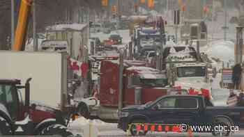 South Asian truckers say protest convoys didn't resonate with them, caused financial losses