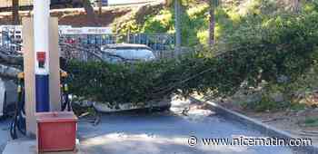 Rafales à plus de 100 km/h, voitures endommagées, obstacles sur les routes... ce qu'il faut retenir de l'épisode venteux dans les Alpes-Maritimes