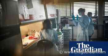 Covid cost-cutting will put blinkers on our best Covid research - The Guardian