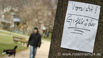 Bereits eine Katze vermutlich Opfer geworden: Unbekannter legt Giftköder in Oberaudorf aus