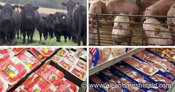 Cattle hogs split with retail meat | News | oleantimesherald.com - Olean Times Herald