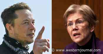 Elon Musk Fires Back After Elizabeth Warren Claims He Paid 'Zero' in Taxes