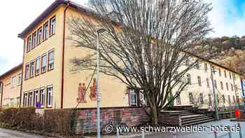 Weiterführende Schulen - Die Zellerschule in Nagold - Schwarzwälder Bote
