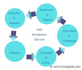 A Look Into: SaaS Life Cycle-Application and Development