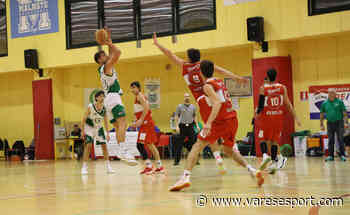 CGold – Gallarate leader. Saronno, Busto e Gazzada nel girone playoff - VareseSport