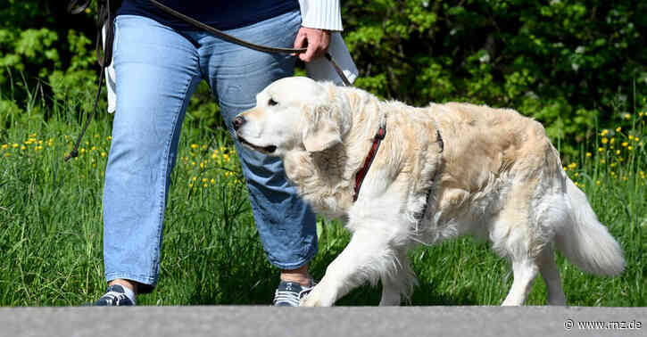 Mannheim:  14-Jährige von Hund attackiert
