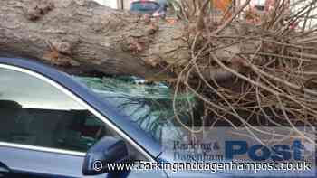 Storm Franklin could delay east London's Eunice clear-up - Barking and Dagenham Post