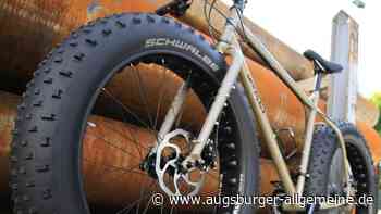 Radfahrer ärgert sich und attackiert Hundebesitzer - Augsburger Allgemeine