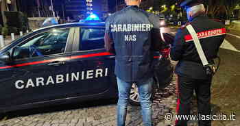 Catania, chiuse tre discoteche: c'era il quadruplo delle presenze consentite - La Sicilia