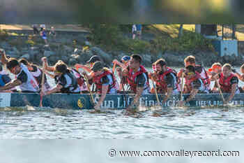 Comox to host a dragon boat festival in June – Comox Valley Record - Comox Valley Record