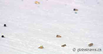 Calgary police investigating after shots fired in Forest Lawn