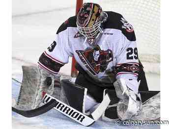 Spiralling Hitmen fall to Blades at Dome - Calgary Sun