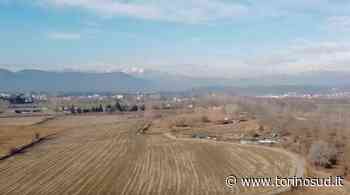ORBASSANO - Completata la piantumazione di 1200 alberi al parco Giusti - TorinoSud