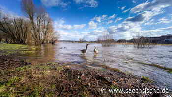 Warum die Elbe in Dresden so schnell angestiegen ist - Sächsische.de