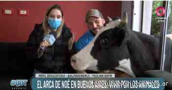 El arca de Noé en Buenos Aires: Conocé al activista que tiene más de 20 animales en su casa - telenueve