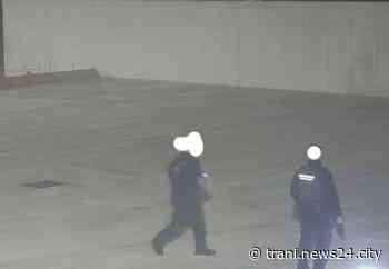 Vigilanti sventano furto in un opificio sulla provinciale “Andria-Trani” - Trani news24city