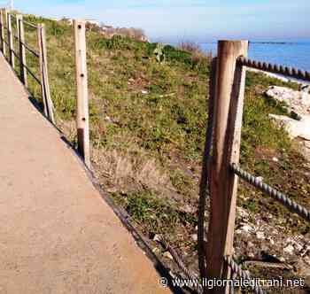 Trani, vandali in azione tra Mongelli e passeggiata di Levante - Radio Bombo