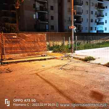 Trani, la denuncia del comitato di via Andria: «La pinetina è già due volte "ex"» - ilgiornaleditrani - Radio Bombo