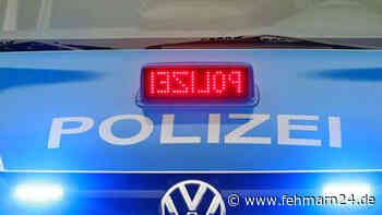 Erneut kippte ein Lkw auf der Fehmarnsundbrücke um - fehmarn24.de